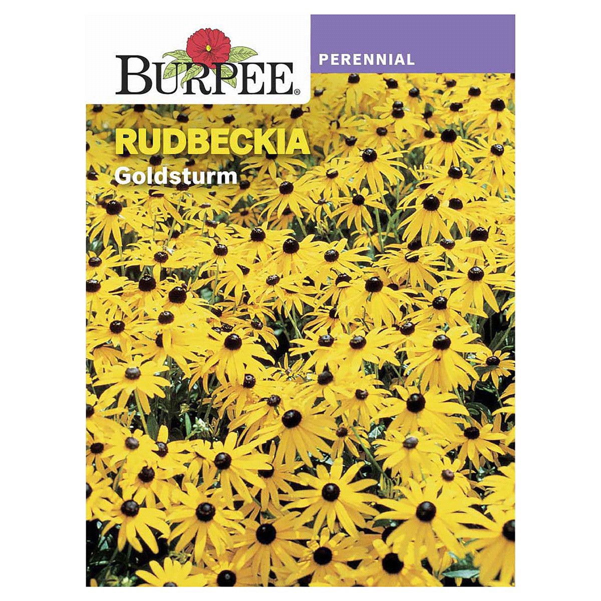 slide 1 of 5, Burpee Rudbeckia Goldsturm Seeds, 1 ct