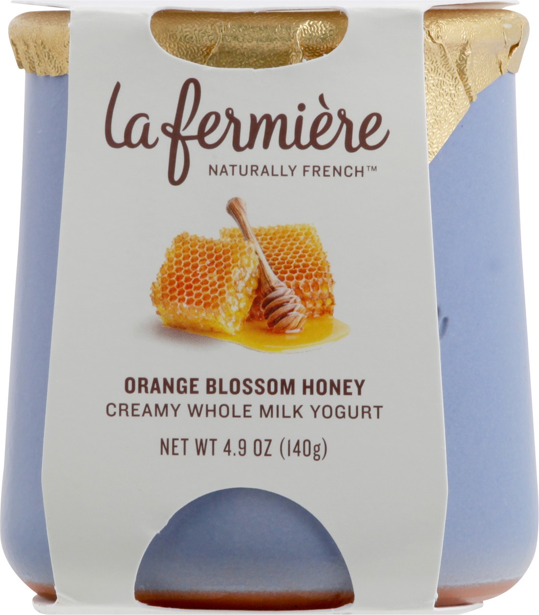 slide 6 of 9, La Fermière Orange Blossom Honey Yogurt 4.9 oz, 4.9 oz