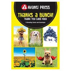 Avanti Thank You Encouragement Multipack