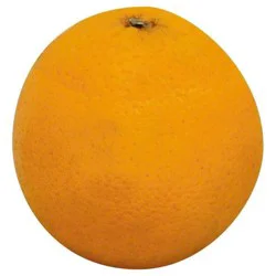 Valencia Orange