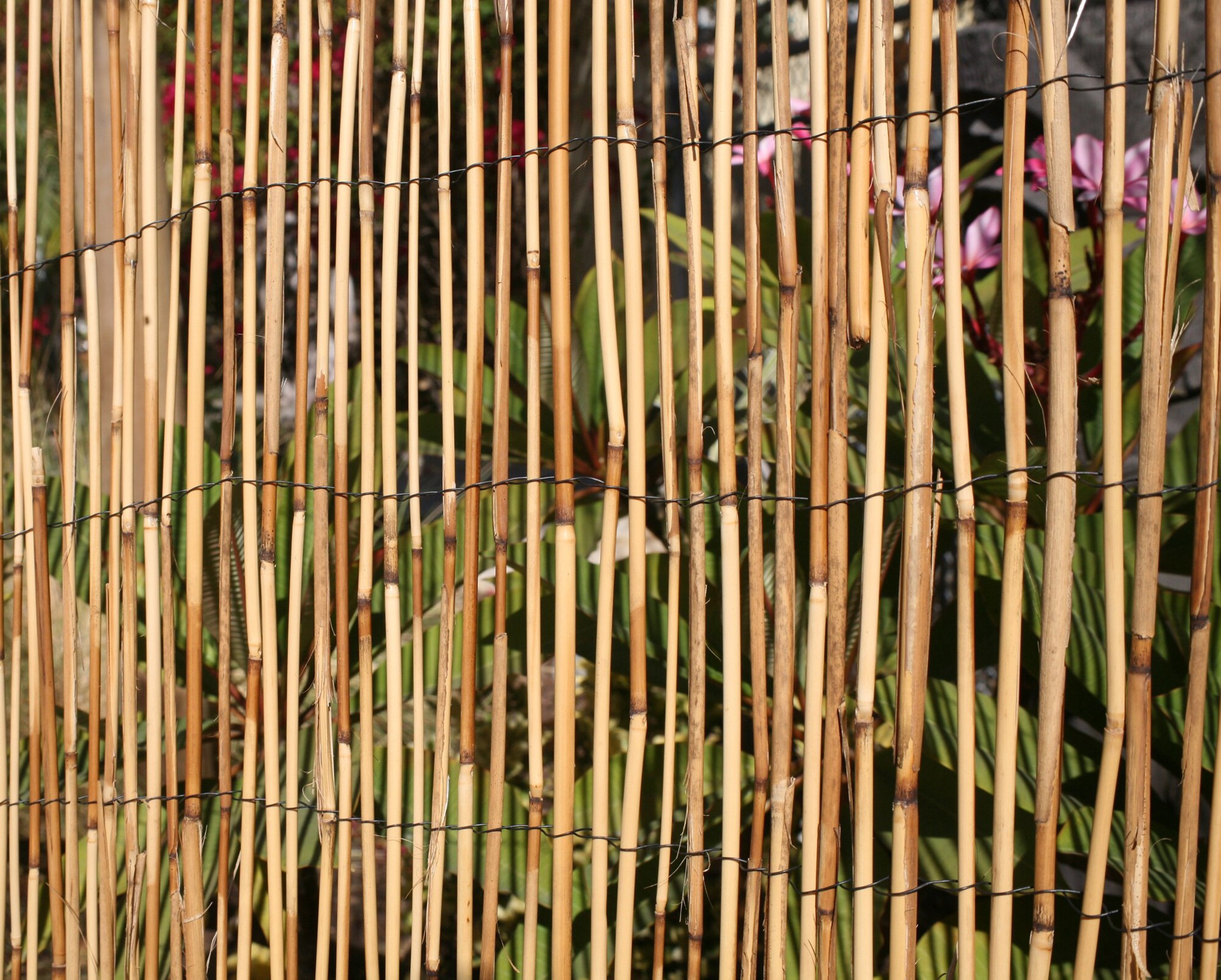 slide 3 of 6, Backyard X-Scapes 96-in W x 48-in H Natural Reed Outdoor Privacy Screen, 1 ct