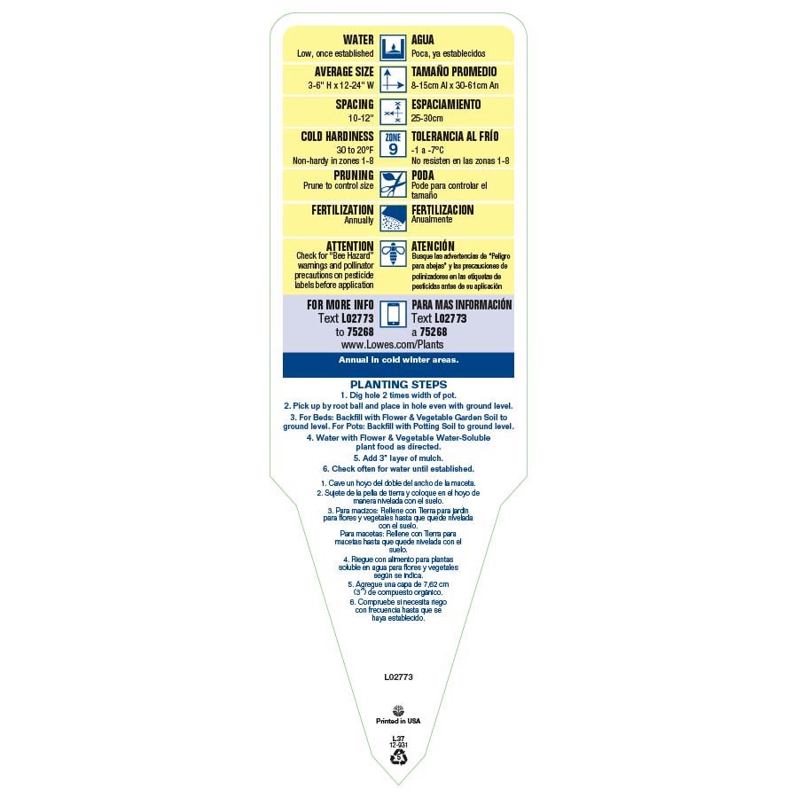 slide 4 of 5, Lowe's Multicolor Ice Plant Plant in 1.5 -Pint Pot, 1 ct