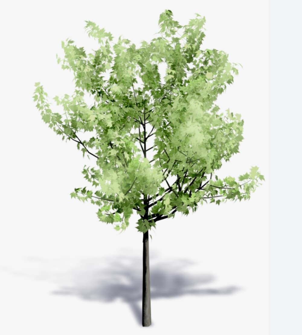 slide 2 of 4, Lowe's 7.28 -Gallon Feature Swedish Aspen In pot (with soil), 1 ct