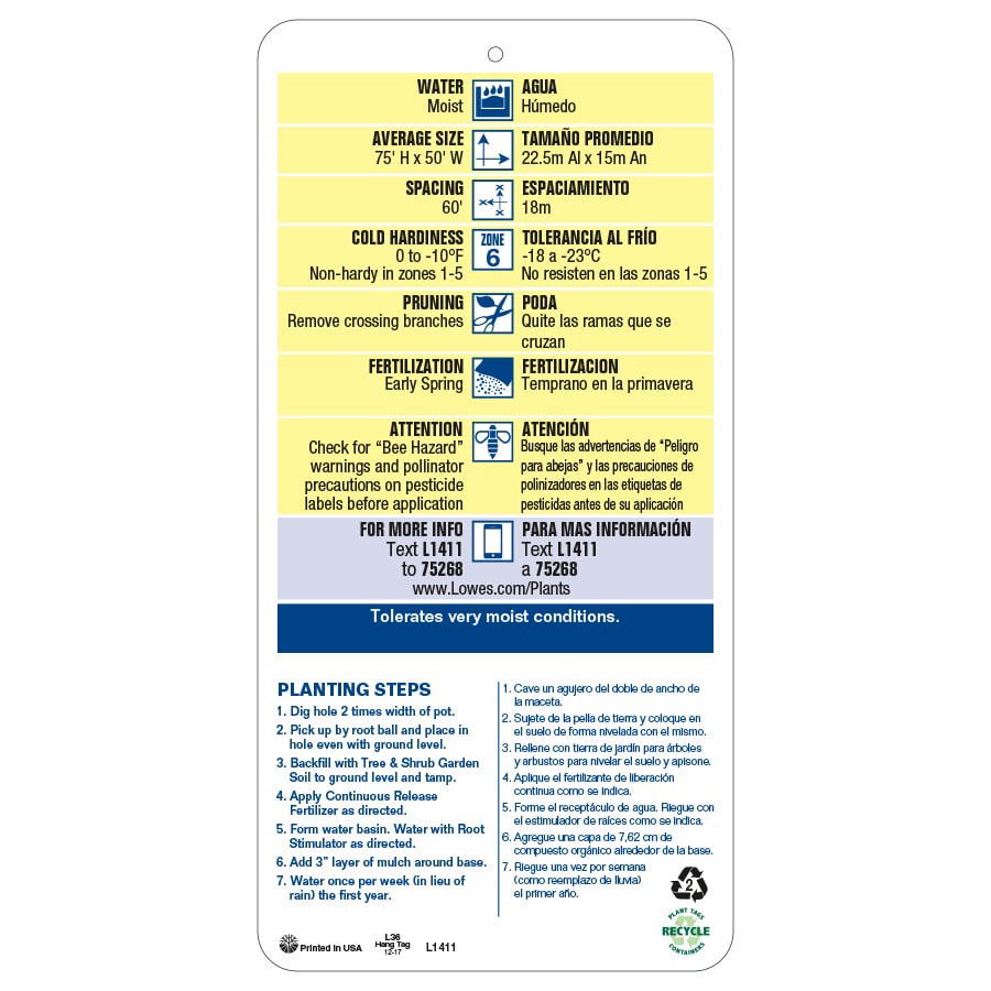 slide 5 of 5, Lowe's 7.28 -Gallon Shade Green Weeping Willow In pot (with soil), 1 ct