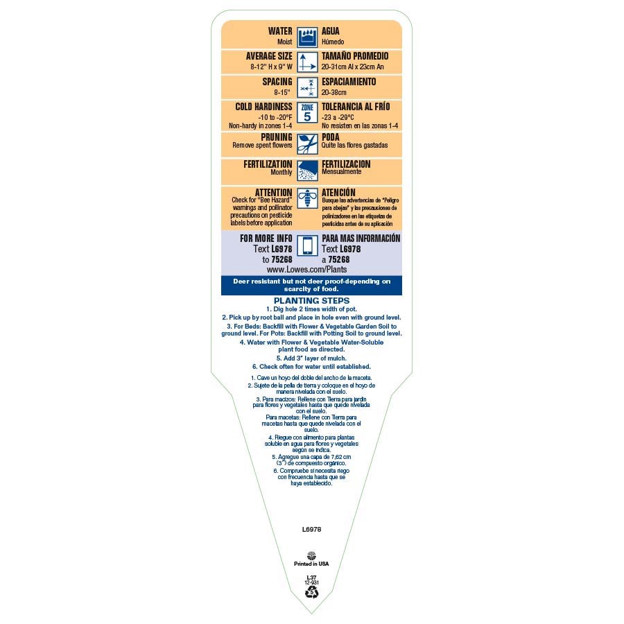 slide 3 of 3, Lowe's Multicolor Primrose Plant in 1 -Quart Pot, 1 ct
