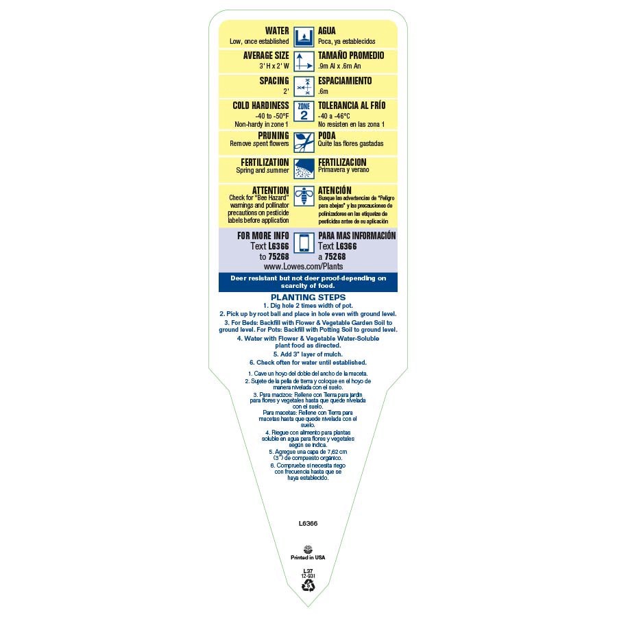 slide 4 of 4, Lowe's Multicolor Oriental Poppy Plant in 1.5 -Pint Pot 1.0 -Pack, 1 ct