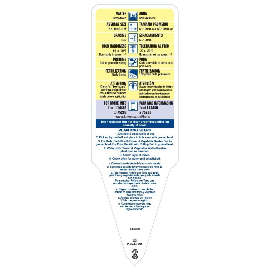 slide 3 of 3, Lowe's Multicolor Caryopteris Plant in 2.5-Quart Pot, 1 ct