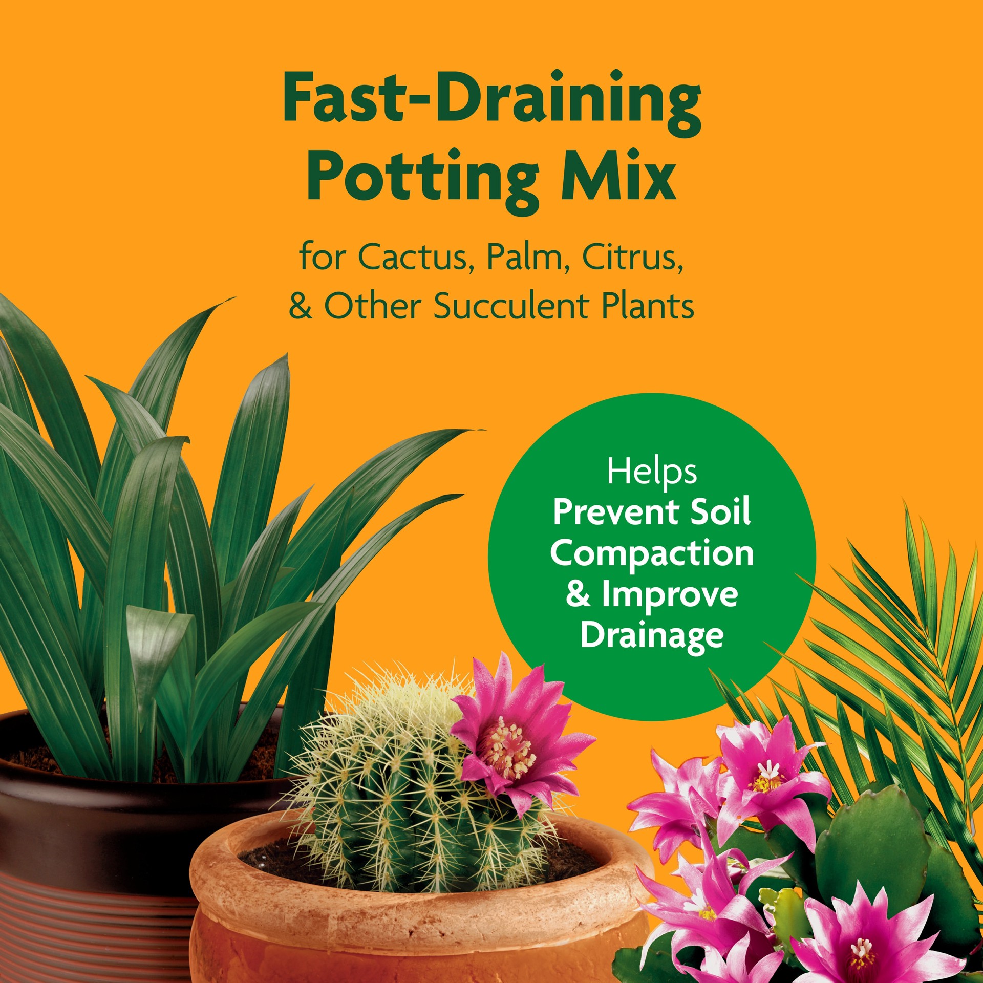 slide 3 of 6, Miracle-Gro Cactus, Palm Citrus 8 Quart(s) Cactus soil Potting soil mix, 1 ct