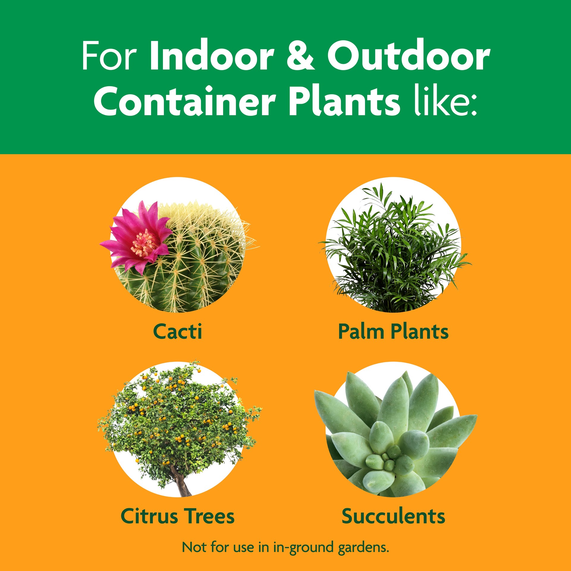 slide 2 of 6, Miracle-Gro Cactus, Palm Citrus 8 Quart(s) Cactus soil Potting soil mix, 1 ct