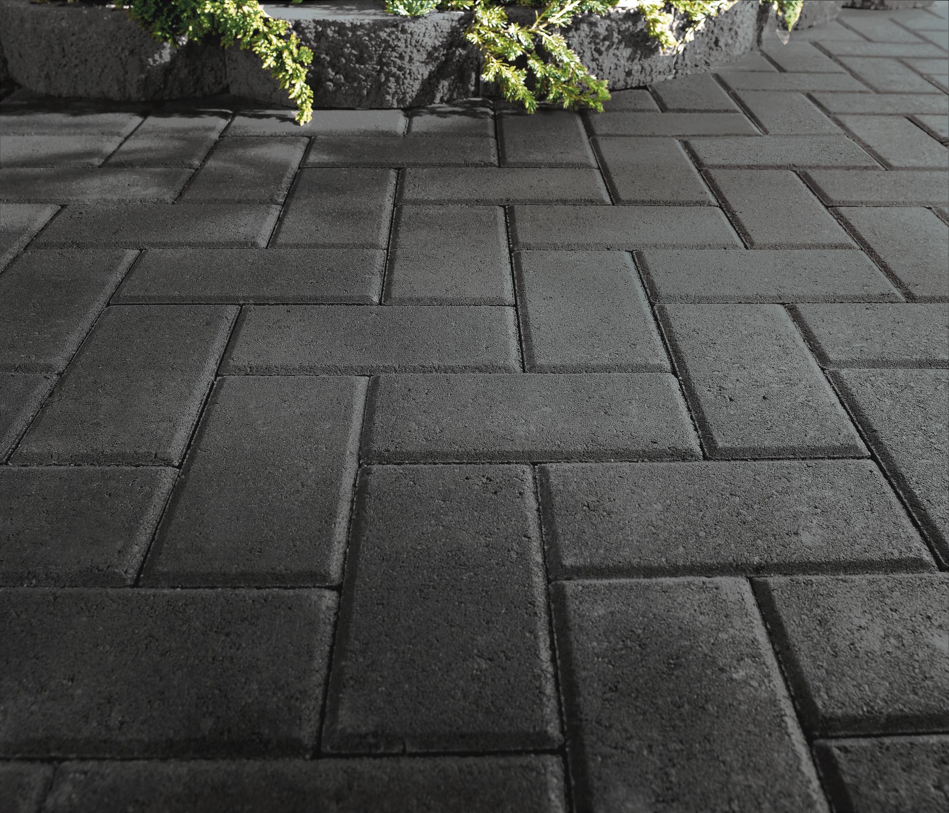 slide 5 of 6, 8.0-in L x 4.0-in W x 2.0-in H Rectangle Charcoal Concrete Paver, 1 ct