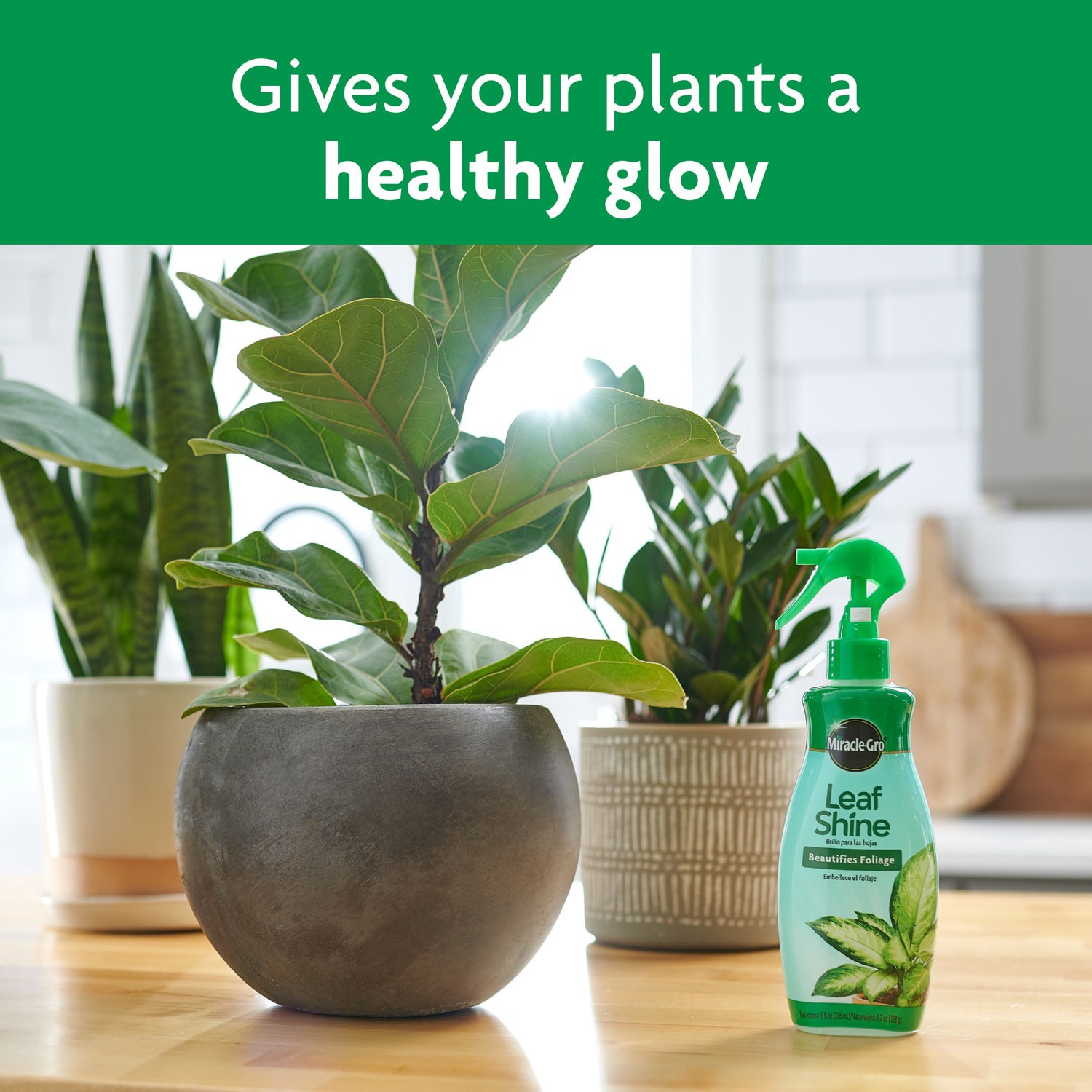 slide 4 of 6, Miracle-Gro 8-fl oz Leaf Shine, 1 ct