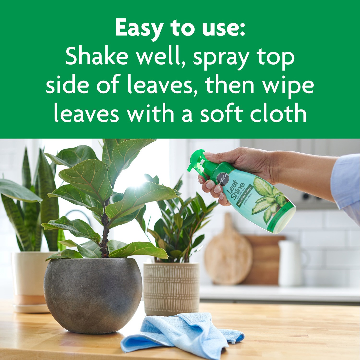 slide 6 of 6, Miracle-Gro 8-fl oz Leaf Shine, 1 ct