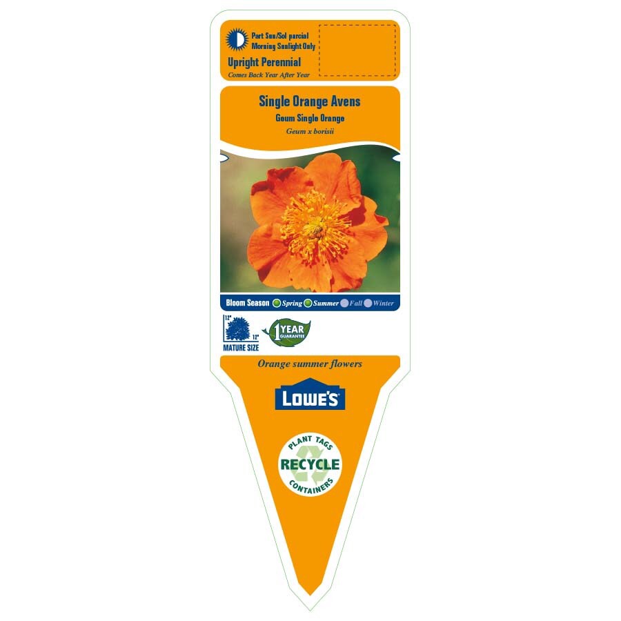 slide 2 of 3, Lowe's Orange Single Orange Avens Plant in 1.0 -Quart Pot, 1 ct