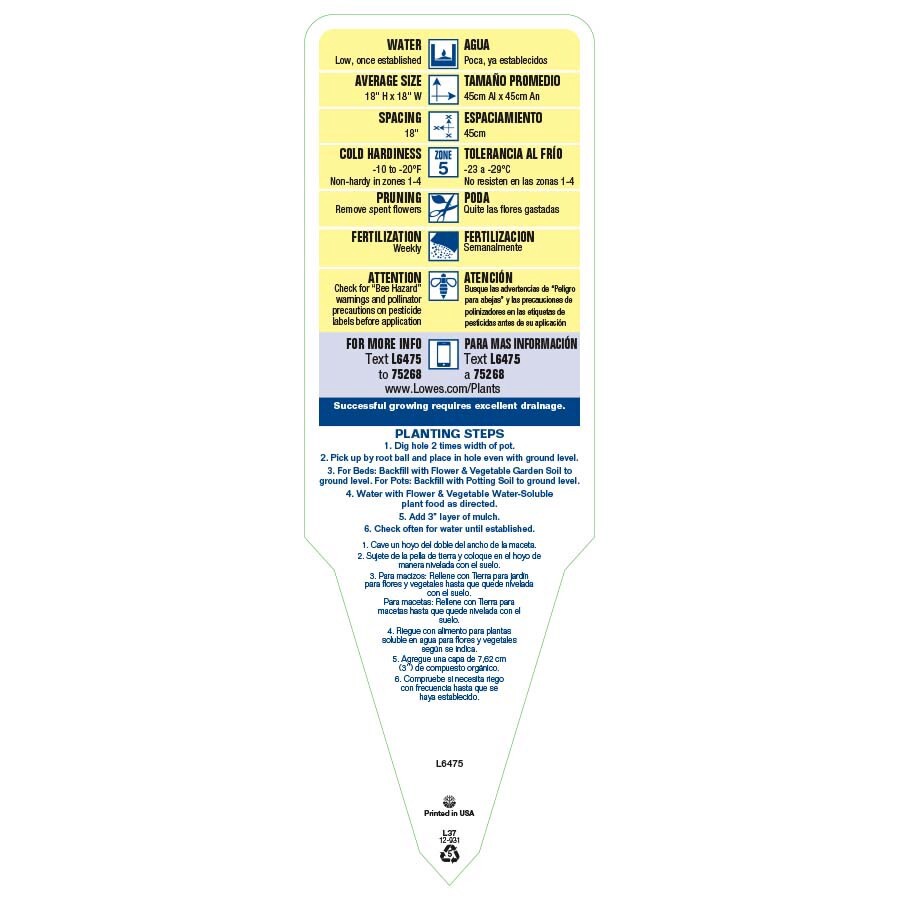 slide 3 of 3, Lowe's Purple Stokes Aster Plant in 1.5 -Gallon Pot, 1 ct