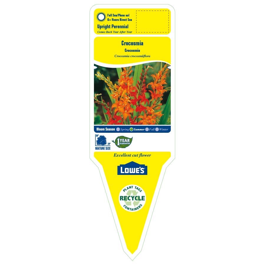 slide 2 of 3, Lowe's Multicolor Crocosmia Plant in 1.5 -Gallon Pot, 1 ct