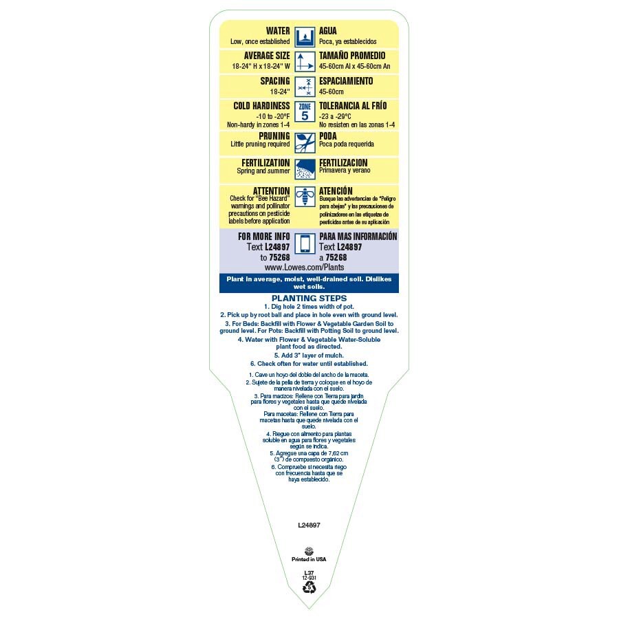 slide 3 of 3, Lowe's Multicolor Catchfly Plant in 2 -Quart Pot, 1 ct