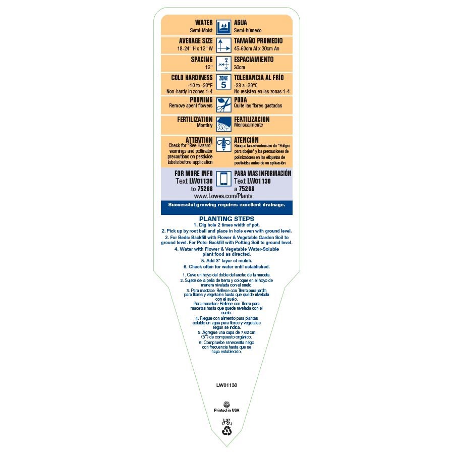 slide 3 of 3, Lowe's Multicolor Hardy Gloxinia Plant in 2 -Quart Pot 1.0 -Pack, 1 ct