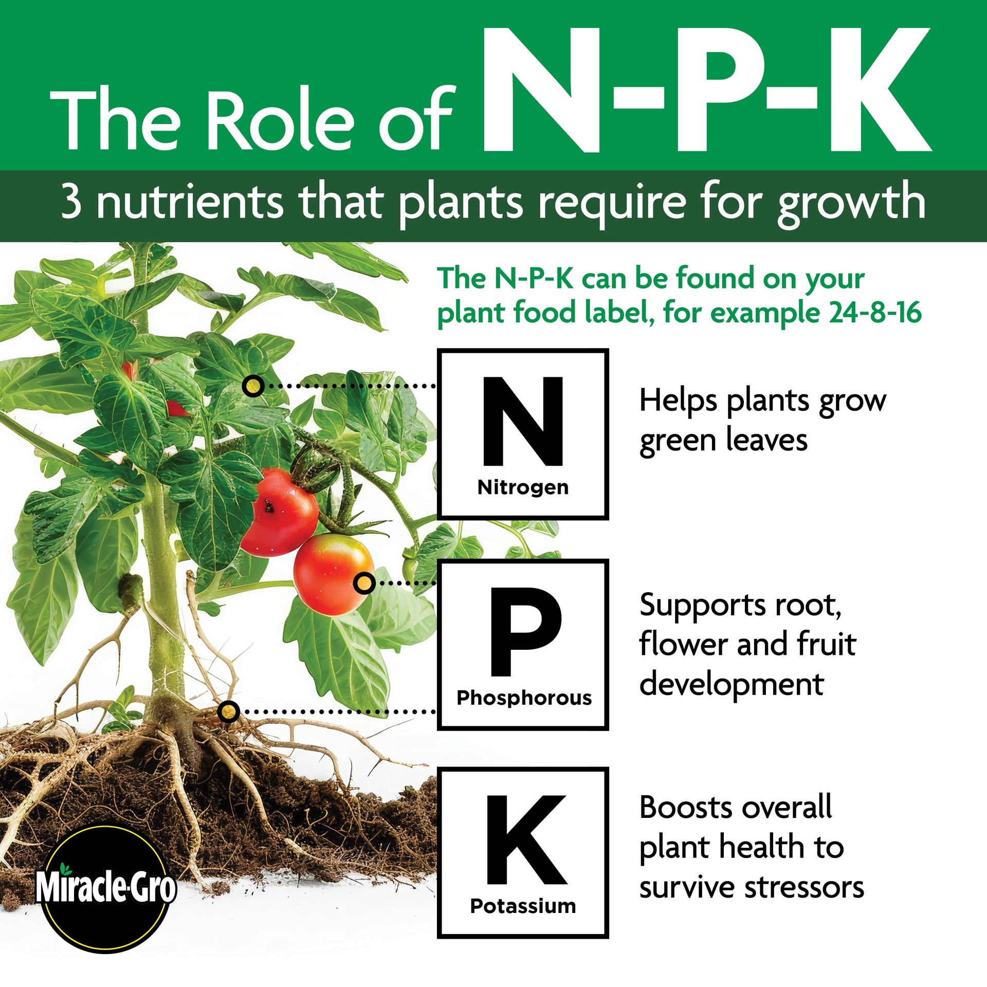 slide 5 of 5, Miracle-Gro Citrus, Avocado, and Mango 20-lb 6-4-6 Tree Food, 1 ct