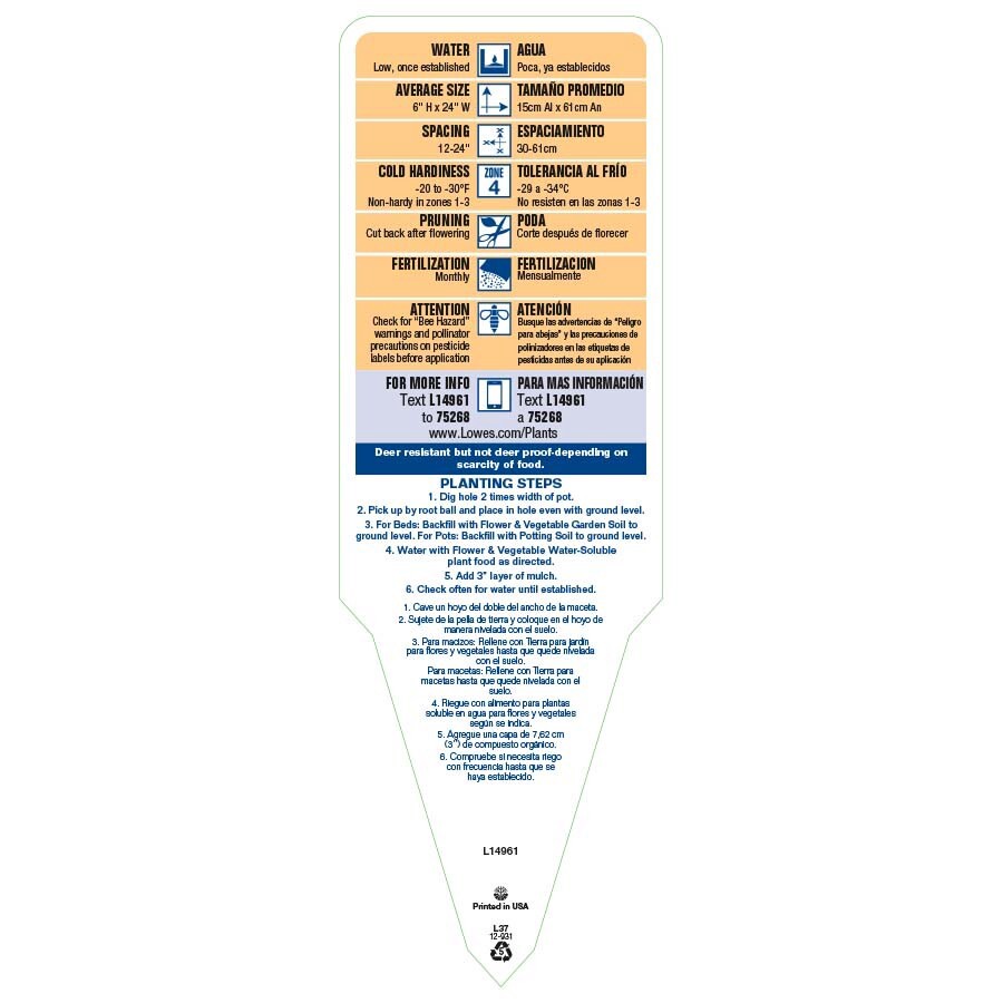 slide 3 of 3, Lowe's Purple Periwinkle Plant in 2 -Quart Pot, 1 ct