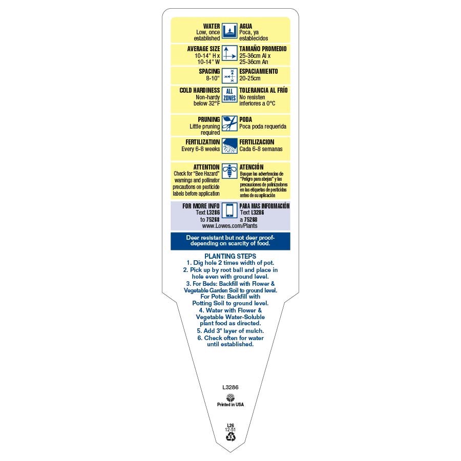 slide 3 of 4, Lowe's Multicolor Vinca in 3-Quart Pot, 1 ct