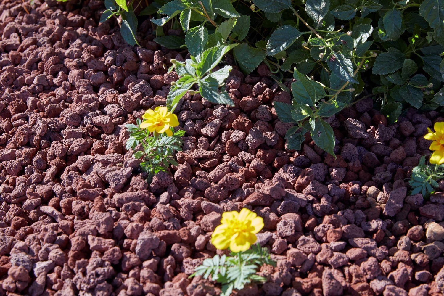 slide 3 of 6, GRO-WELL 0.5 cu ft Red Lava rock (0.5 - 3-in), 1 ct