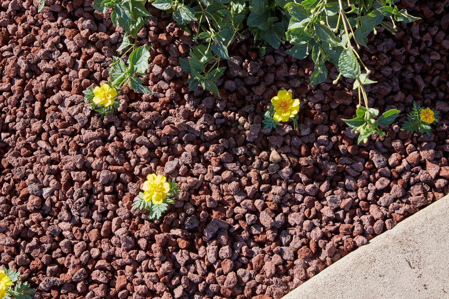slide 6 of 6, GRO-WELL 0.5 cu ft Red Lava rock (0.5 - 3-in), 1 ct