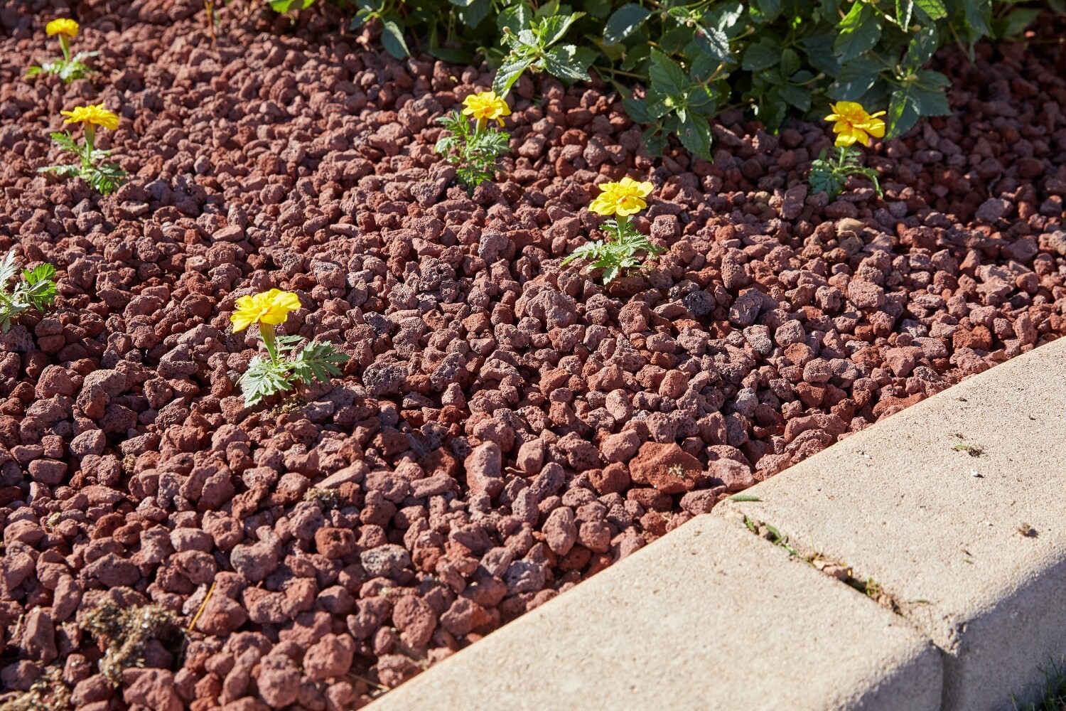 slide 2 of 6, GRO-WELL 0.5 cu ft Red Lava rock (0.5 - 3-in), 1 ct