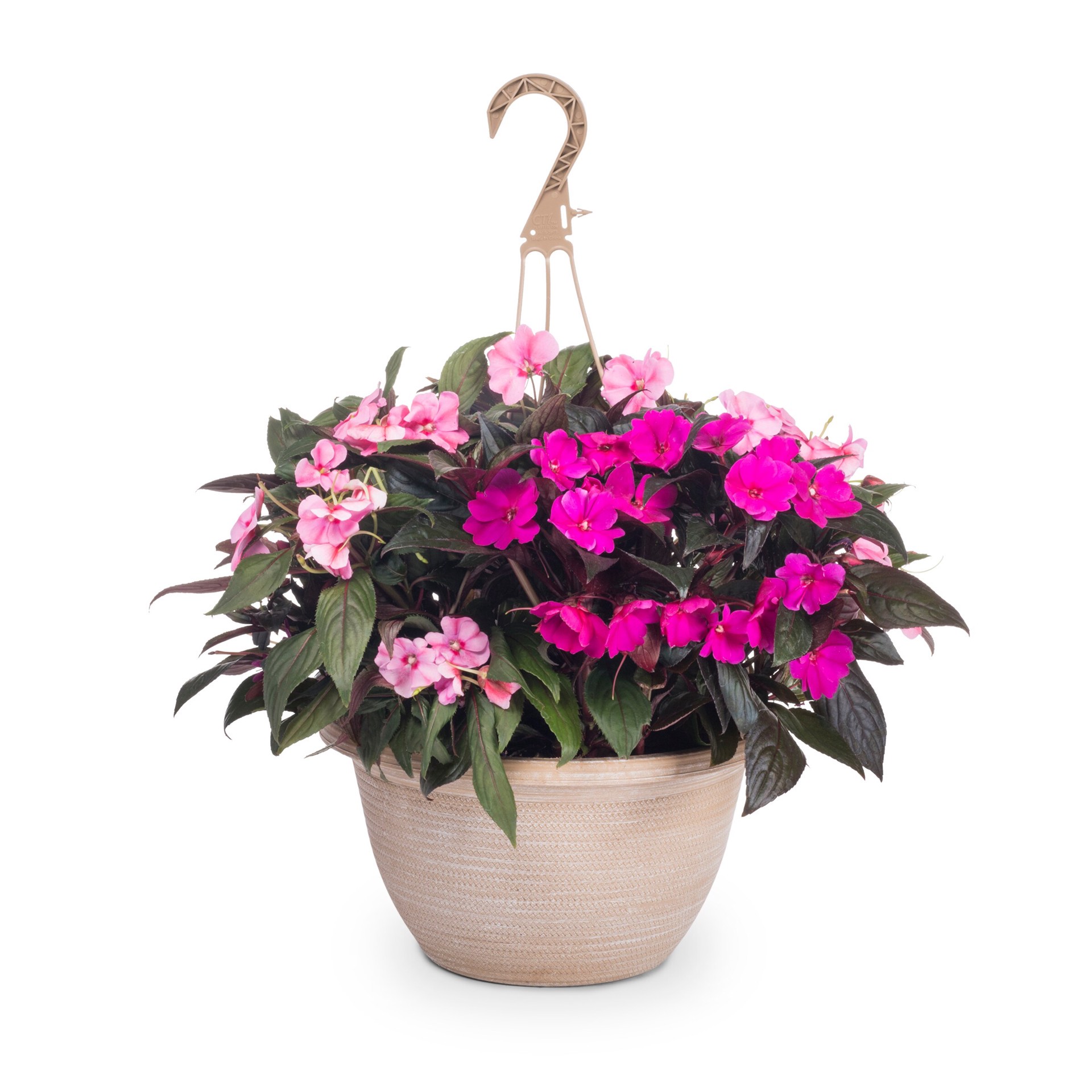 slide 2 of 5, Lowe's Multicolor New Guinea Impatiens in 2-Gallons Hanging Basket, 1 ct
