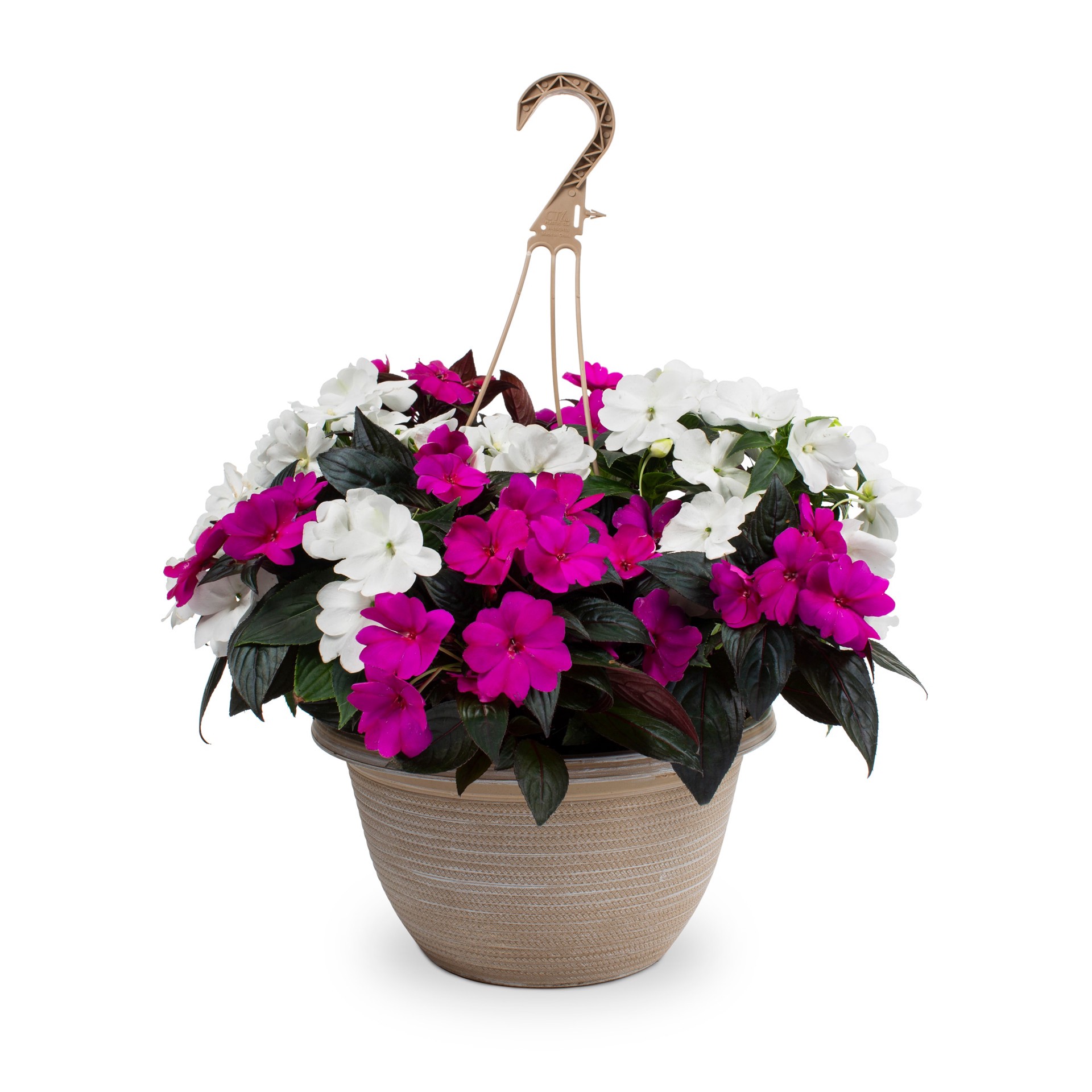 slide 4 of 5, Lowe's Multicolor New Guinea Impatiens in 2-Gallons Hanging Basket, 1 ct