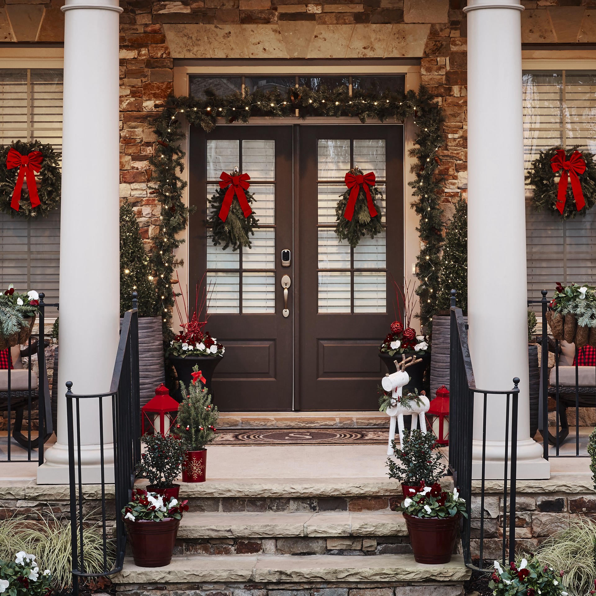 slide 3 of 3, Holiday Living Leyland Cypress Screening Shrub in 2.25 -Gallon, 1 ct