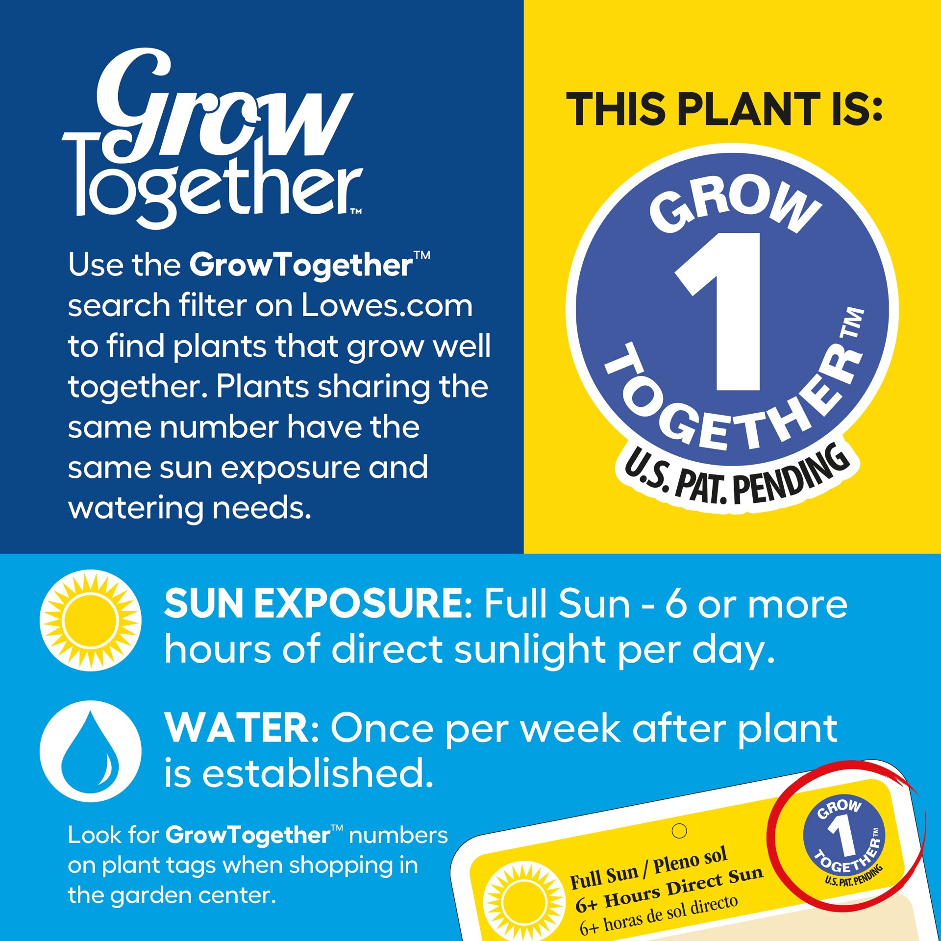 slide 4 of 5, Lowe's Multicolor Daffodil in 2.5-Quart Pot, 1 ct