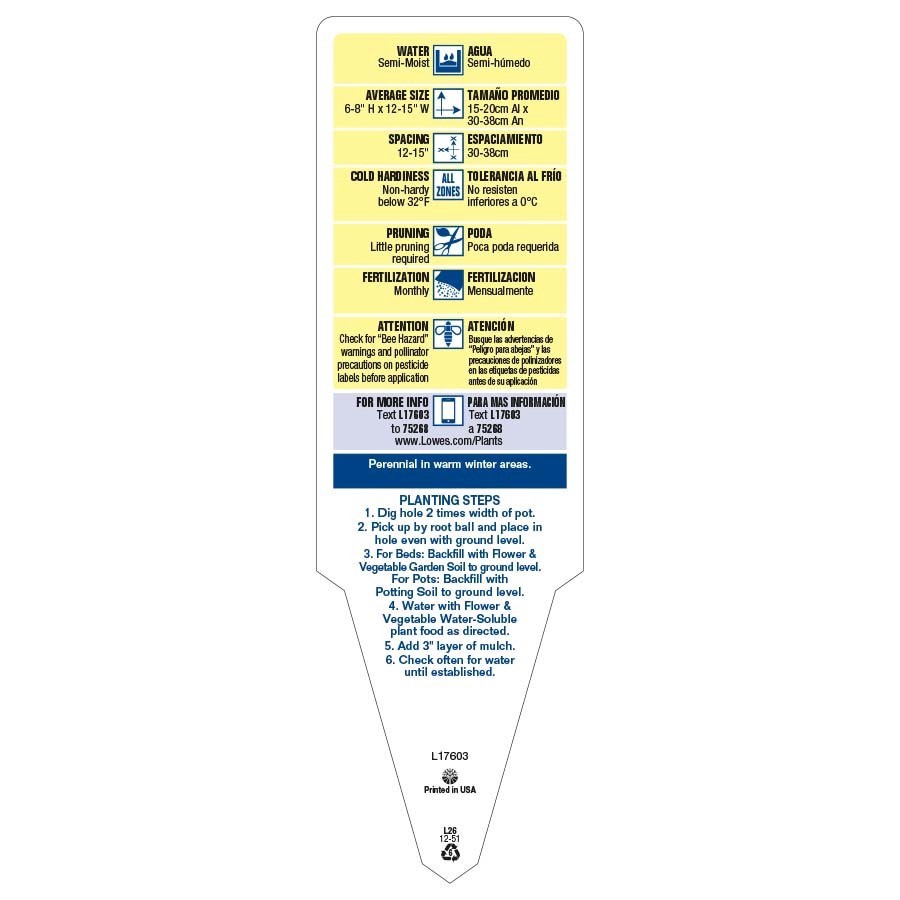 slide 3 of 3, Lowe's Multicolor Calibrachoa in 1.5-Gallon Hanging Basket, 1 ct