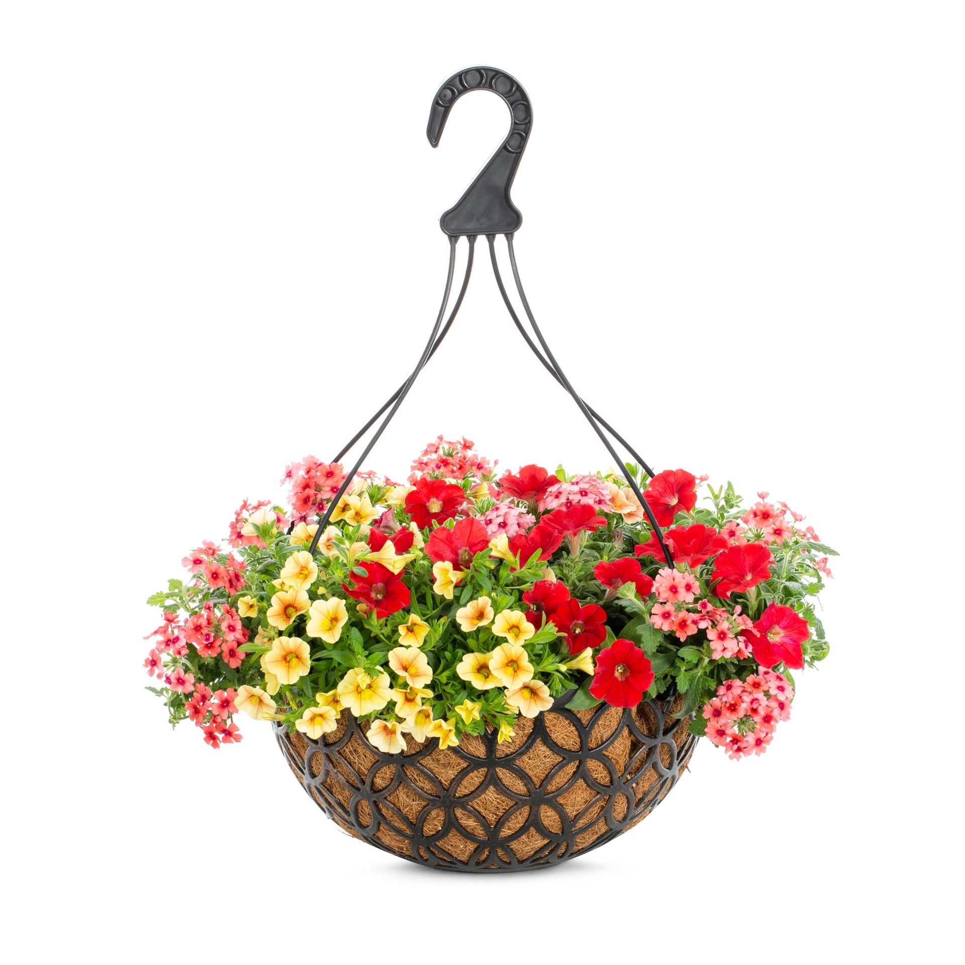 slide 1 of 4, Lowe's Multicolor Mixed Annuals Combinations in 3-Gallon (s) Hanging Basket, 1 ct