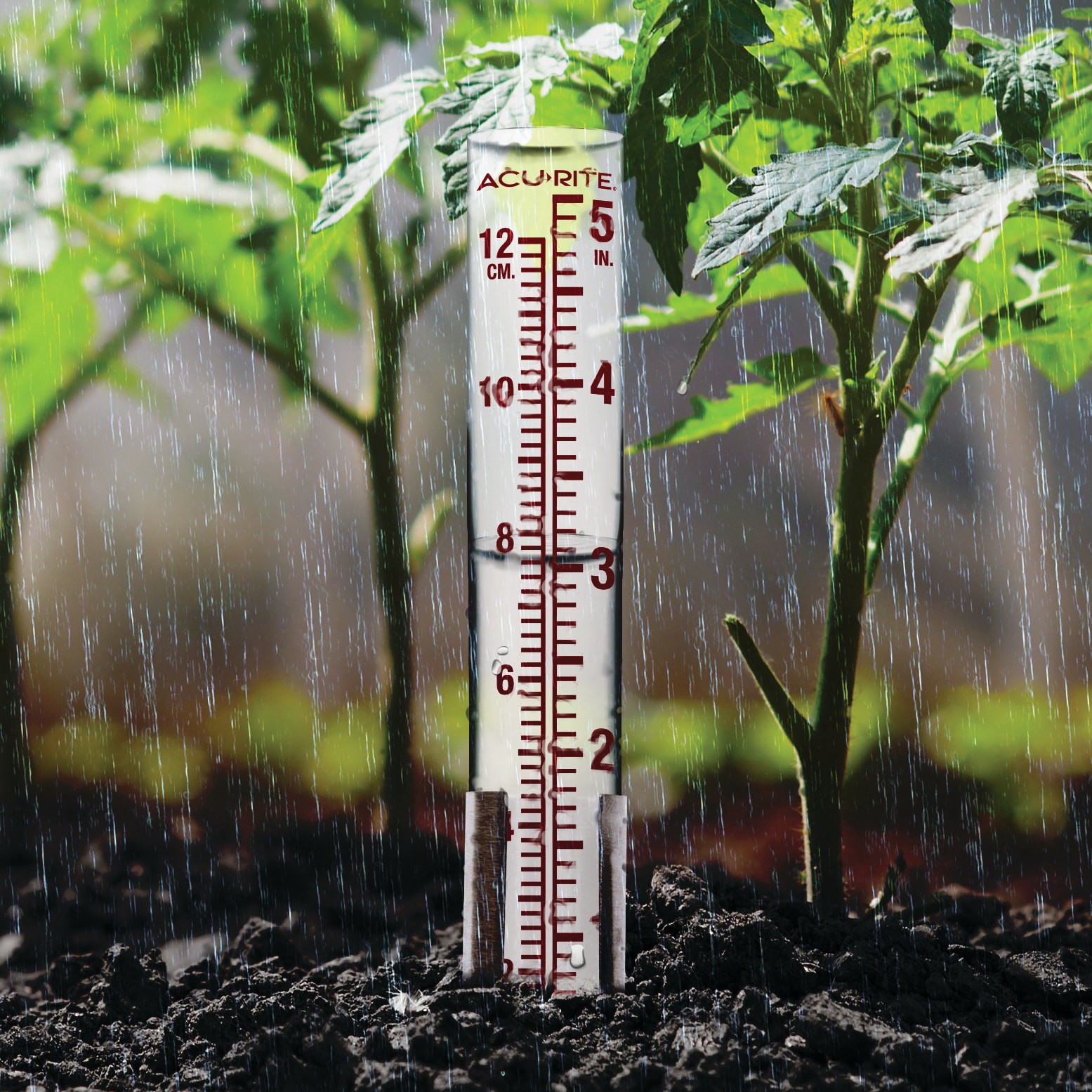 slide 2 of 4, AcuRite Glass Analog 5-in Rain Gauge, 1 ct