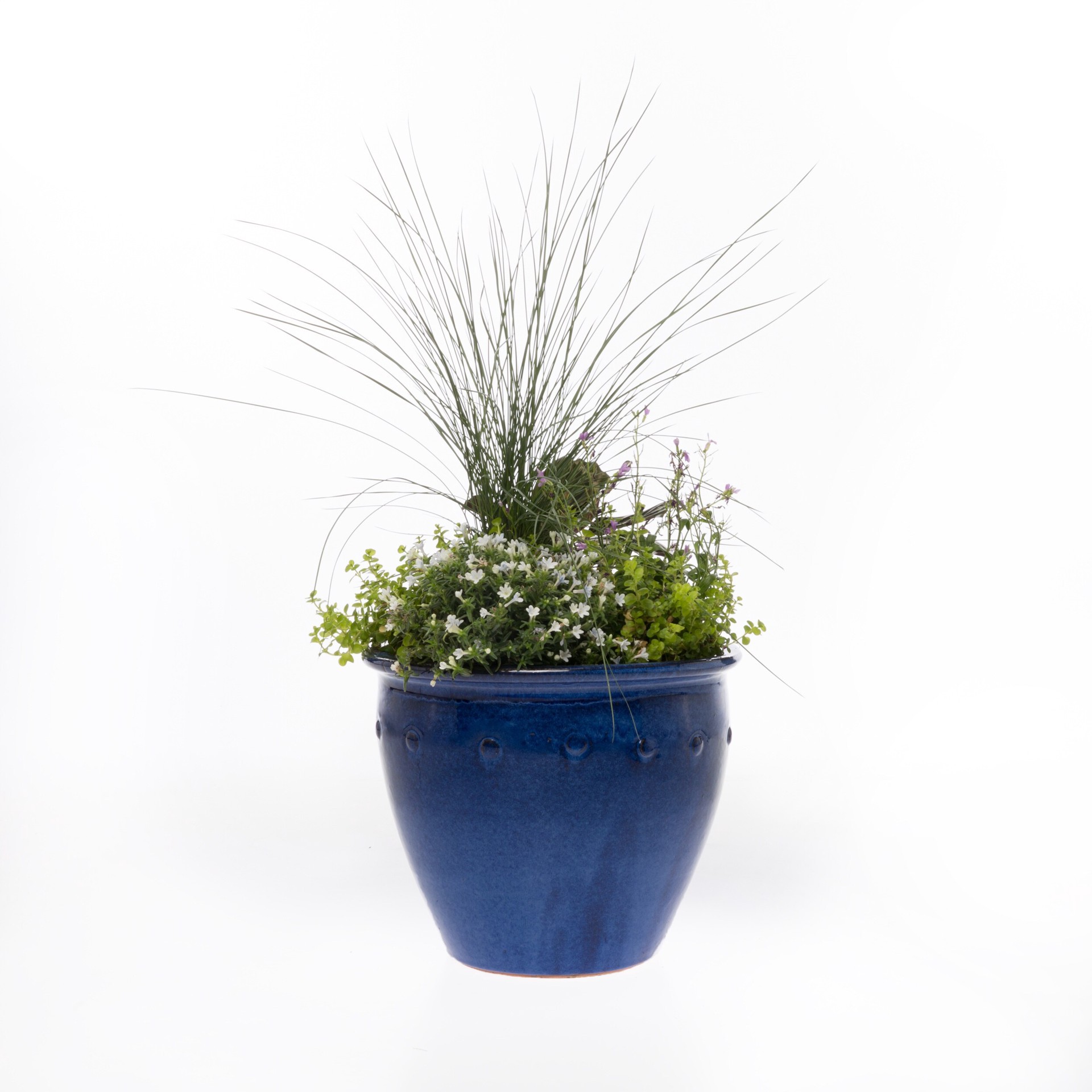 slide 2 of 6, allen + roth Round 7.1-in W x 7.1-in L Blue Ceramic Outdoor Planter, 1 ct