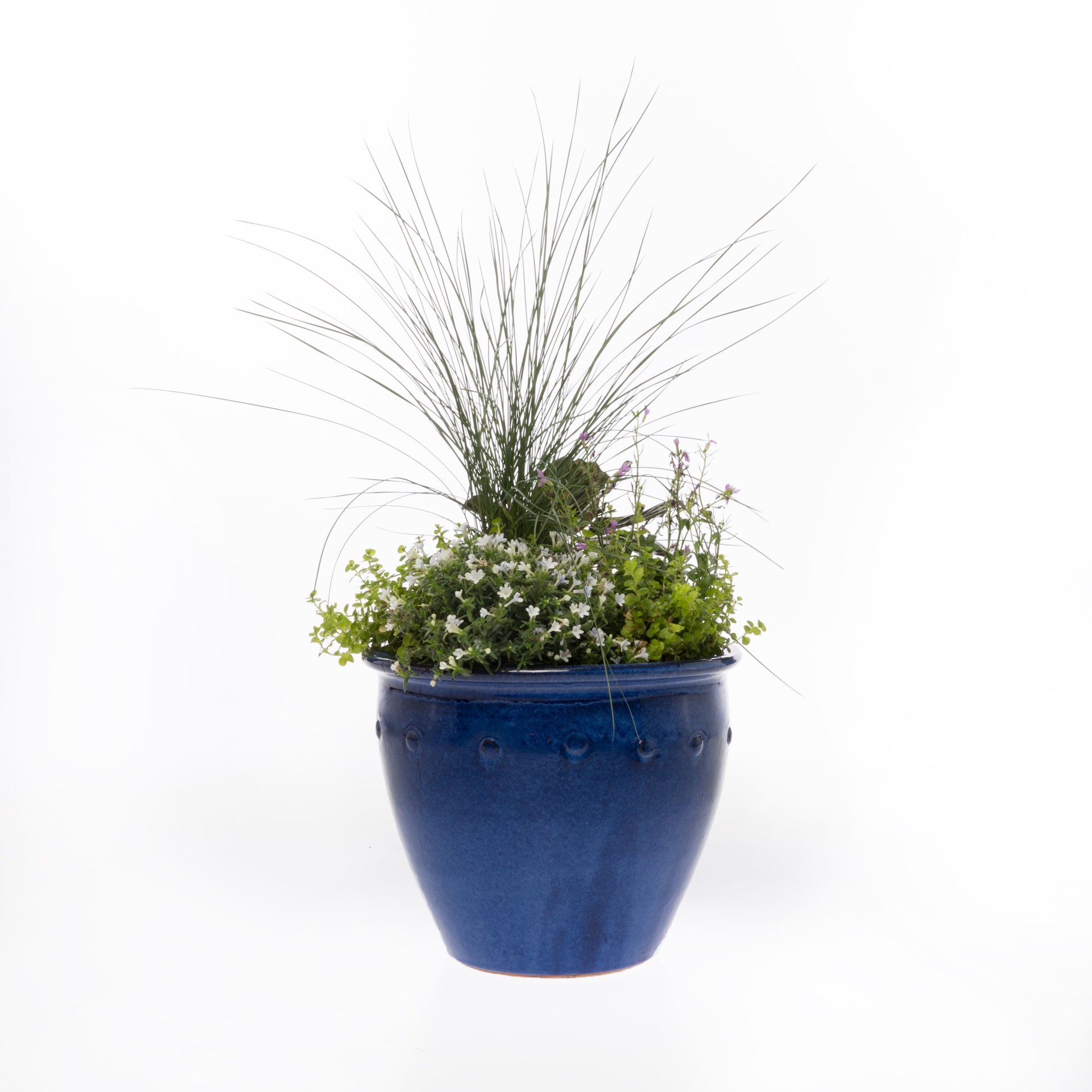 slide 3 of 6, allen + roth Round 9.6-in W x 9.6-in L Blue Ceramic Outdoor Planter, 1 ct