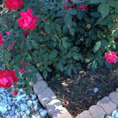 slide 5 of 6, Geometric 12-Inches L x 3-Inches W x 3-Inches H Red Concrete Straight edging stone, 1 ct