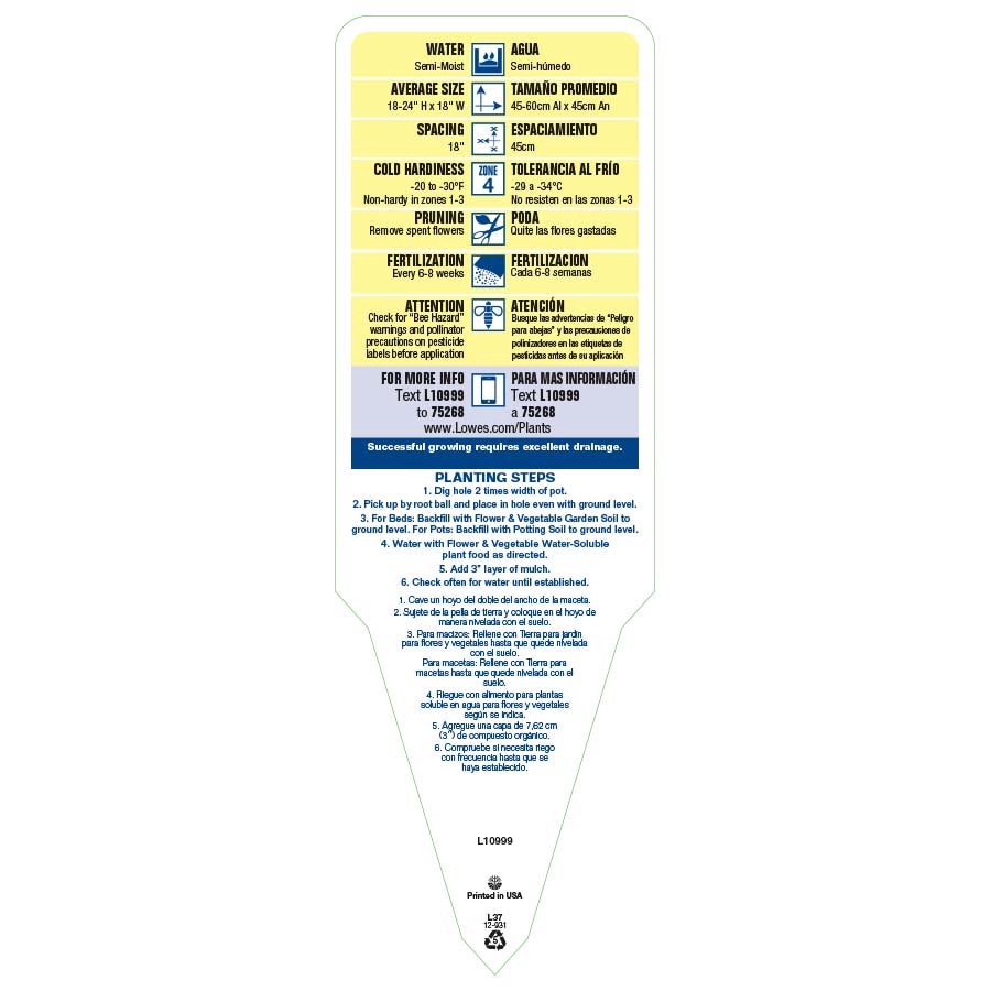 slide 3 of 4, Lowe's Multicolor Shasta Daisy Plant in 2.5 -Quart Pot, 1 ct