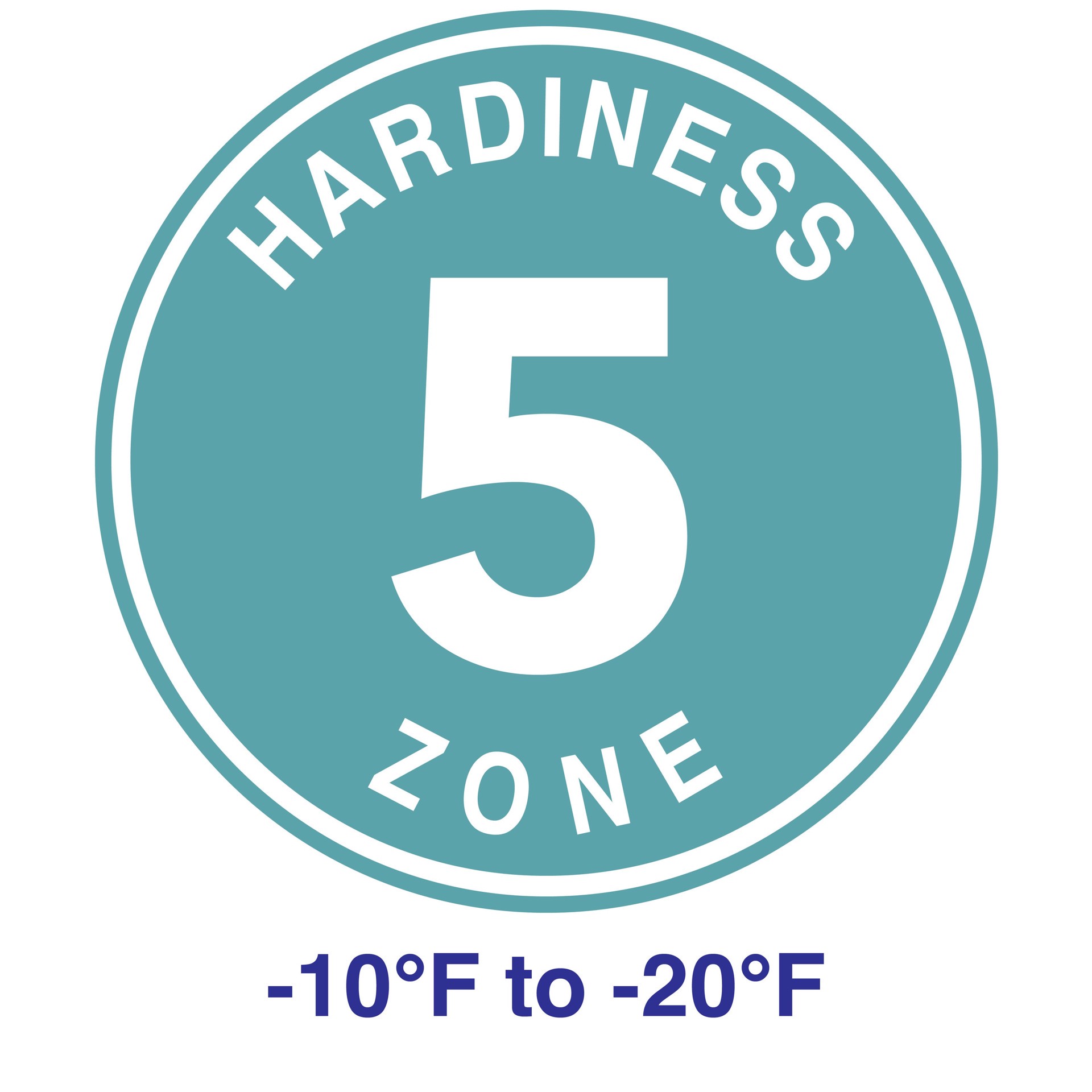 slide 5 of 6, Lowe's Blue Lithodora Plant in 1-Quart, 1 ct