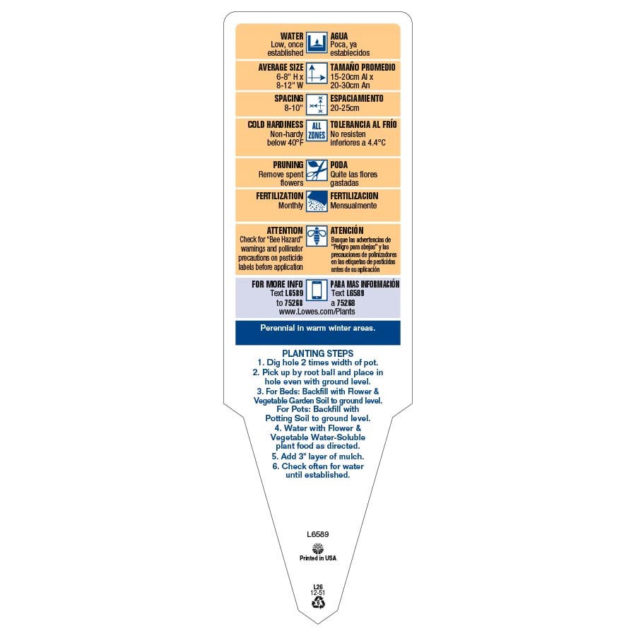 slide 4 of 4, Lowe's Multicolor Begonia in 1.5 Gallon(s) Hanging basket 1 -Pack, 1 ct