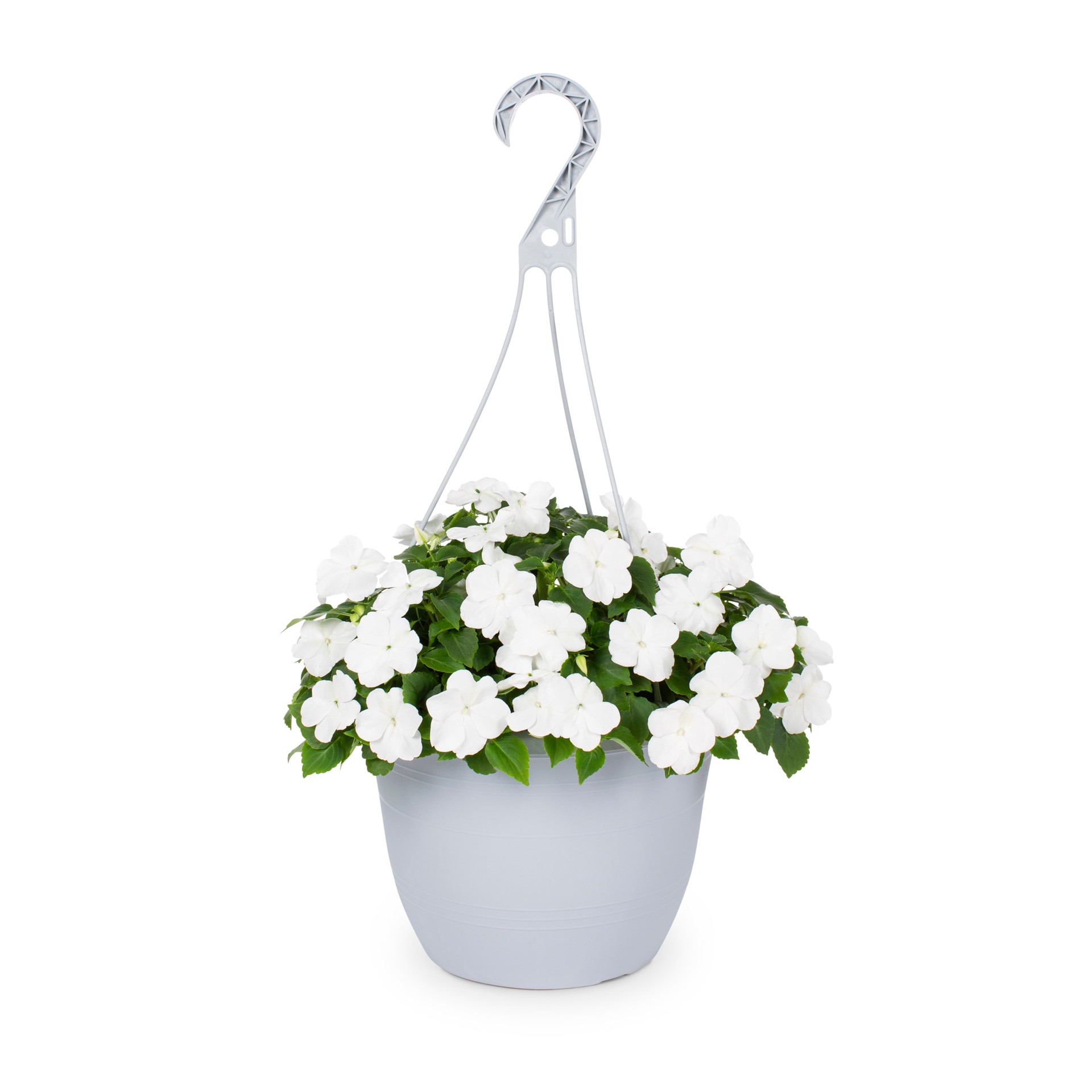 slide 4 of 6, Lowe's Multicolor Impatiens in 1.5-Gallon (s) Hanging Basket, 1 ct
