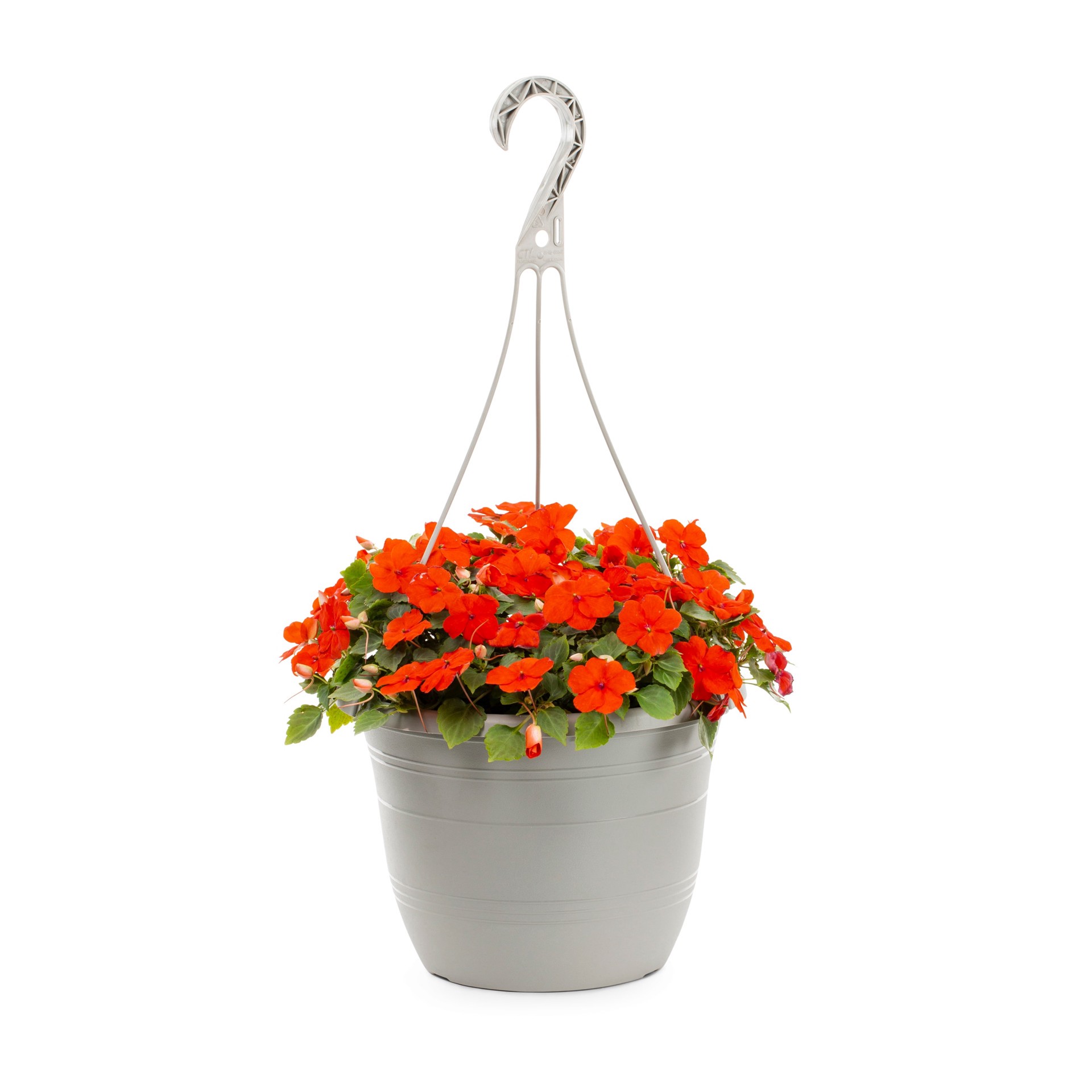 slide 6 of 6, Lowe's Multicolor Impatiens in 1.5-Gallon (s) Hanging Basket, 1 ct