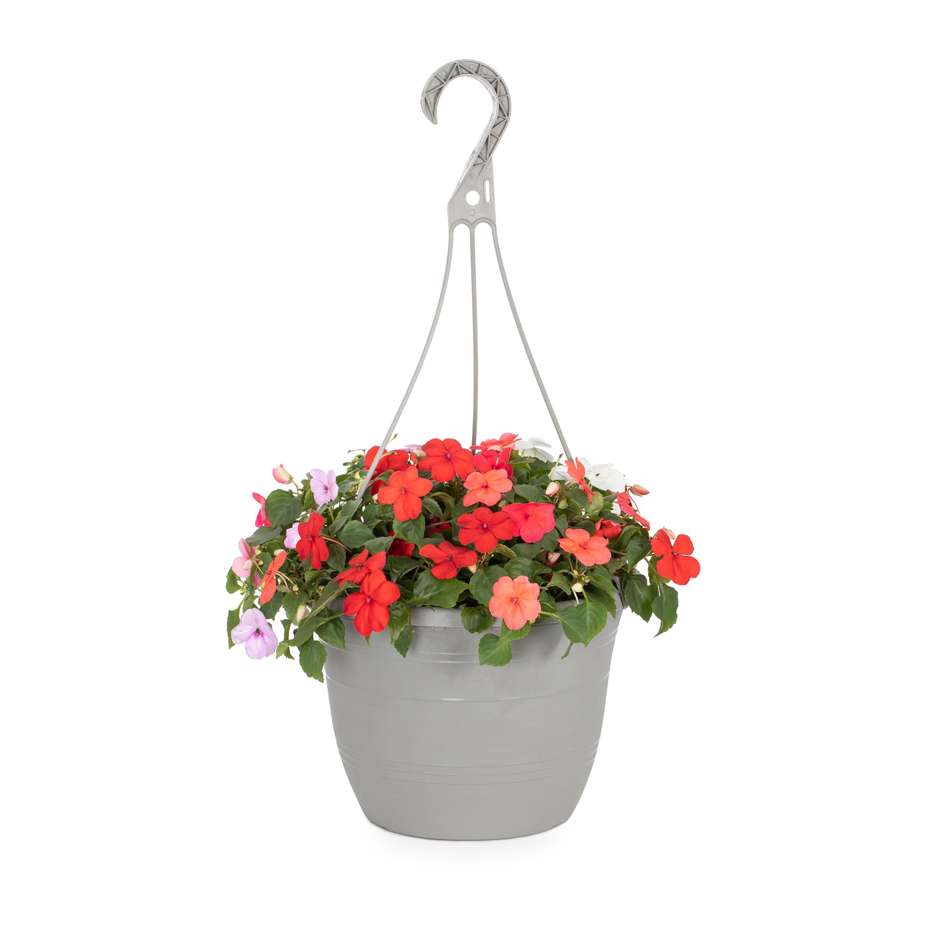 slide 1 of 6, Lowe's Multicolor Impatiens in 1.5-Gallon (s) Hanging Basket, 1 ct