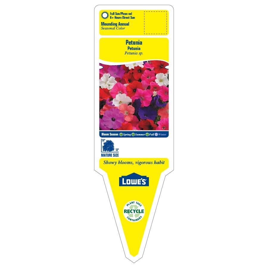 slide 2 of 4, Lowe's Multicolor Petunia in 1.5-Gallon (s) Hanging Basket, 1 ct