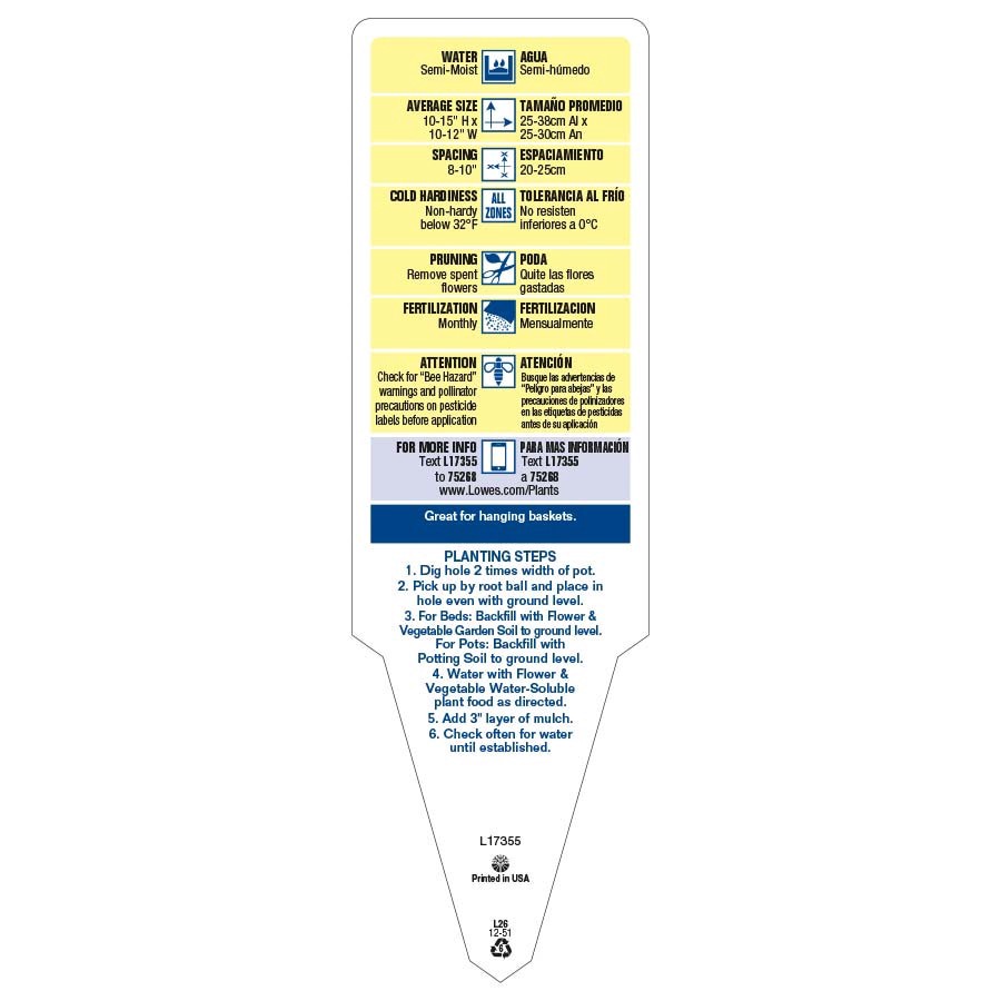 slide 3 of 4, Lowe's Multicolor Petunia in 1.5-Gallon (s) Hanging Basket, 1 ct