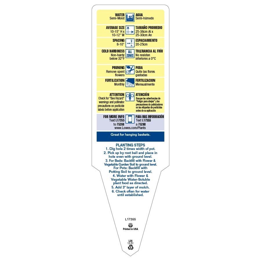 slide 4 of 4, Lowe's Multicolor Petunia in 1.5-Gallon (s) Hanging Basket, 1 ct