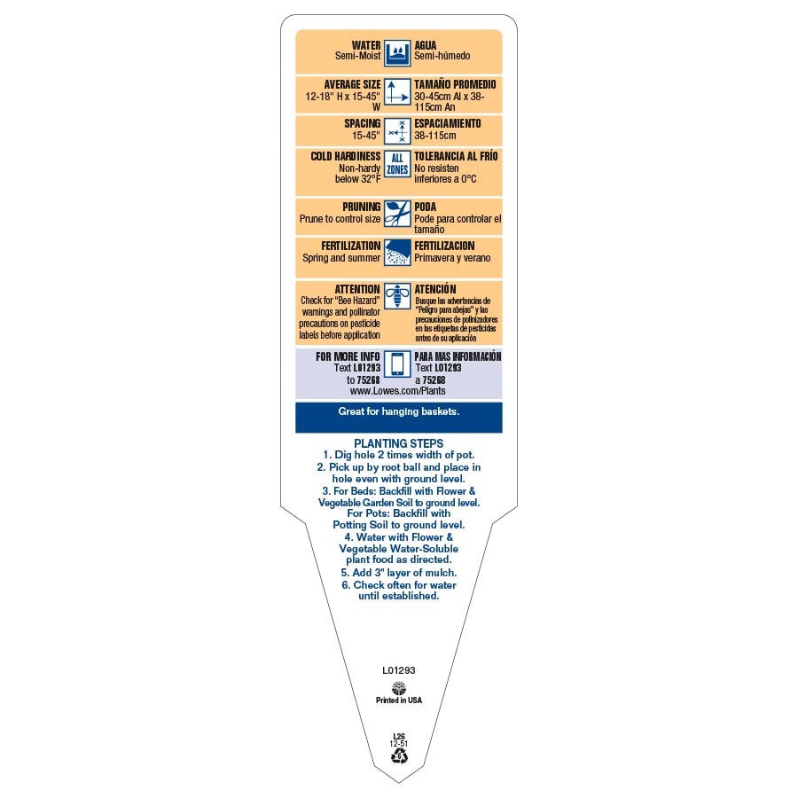 slide 3 of 6, Lowe's Multicolor Purple Heart Inch Plant in 1.5 Gallon(s) Hanging basket, 1 ct