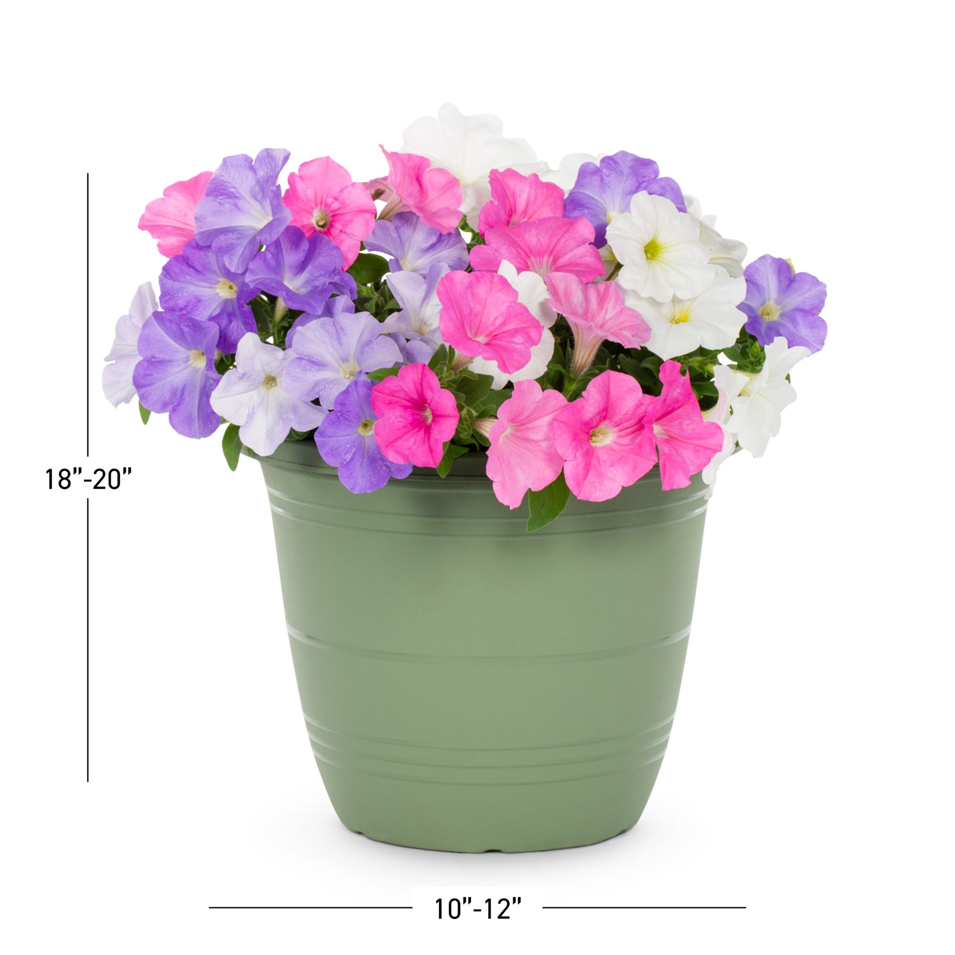 slide 5 of 6, Lowe's Multicolor Petunia in 1.75 Gallon(s) Planter 1 -Pack, 1 ct
