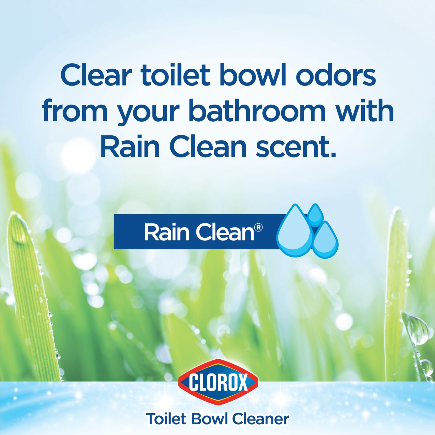 slide 6 of 6, Clorox 2-Pack 24-fl oz Rain Clean Toilet Bowl Cleaner, 