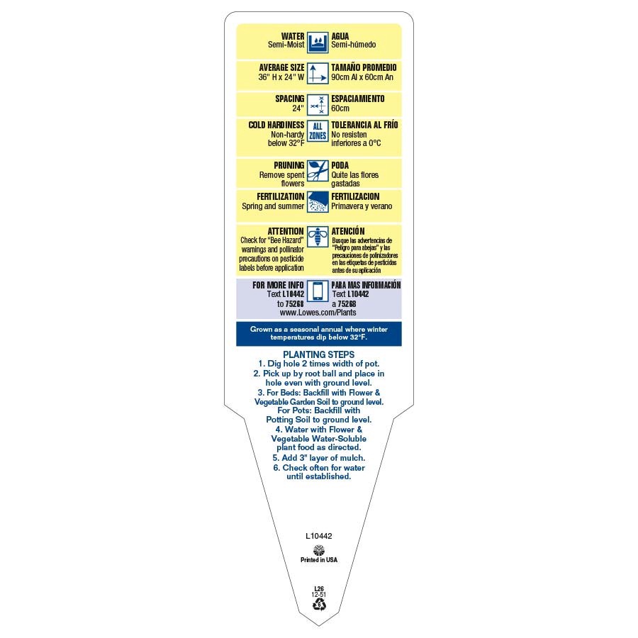 slide 3 of 3, Lowe's Yellow Cape Daisy Bush in 3.58-Gallon Pot, 1 ct